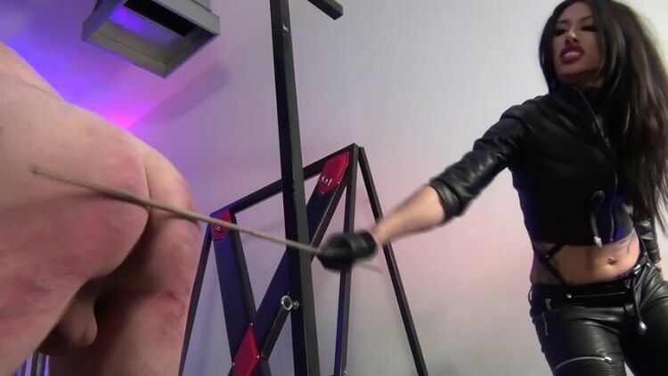 Domnation Goddess Tangent A Vicious And Merciless Punishment Caning - [Clips4Sale] (FullHD 1080p) [updated: 2024-02-04]