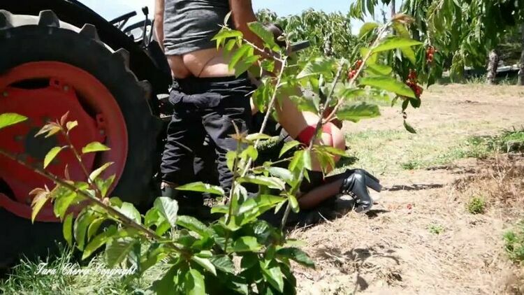 ModelHub - Tara Cherry Suce Deux Agriculteurs Dans Les Cerisiers Blowjob Threesome Outside [FullHD 1080p] [updated: 2024-02-05]