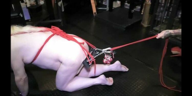 Mistress Ava Von Medisin: Rudolph The Red Balled Reindeer Part 2 and Out Takes [updated: 2024-02-19]