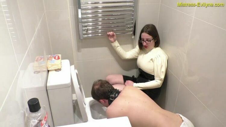 Mistress Evilyne — Dirty Toilet Cleaner [updated: 2024-02-28]