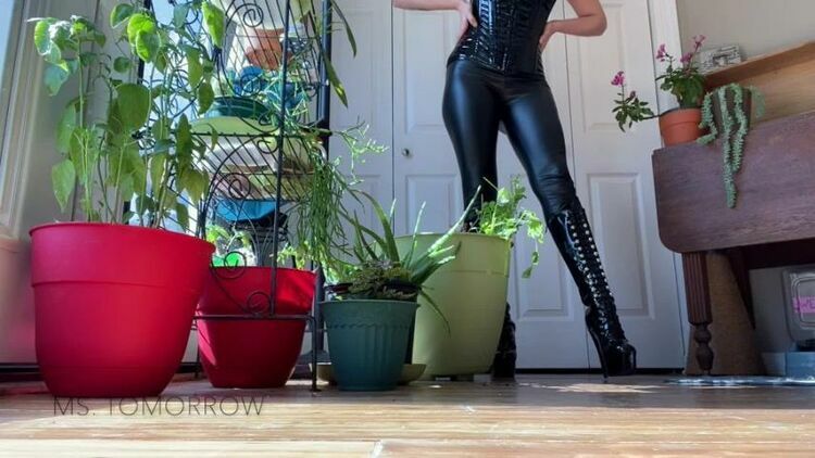 DommeTomorrow — Her Boots [updated: 2024-03-11]