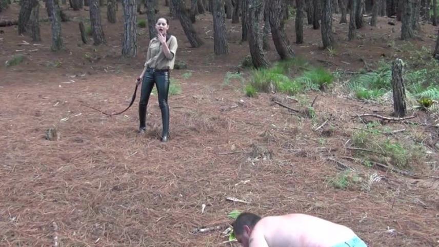 GERALD HRFAN – The Zenith Bullwhip 3 [updated: 2024-04-09]