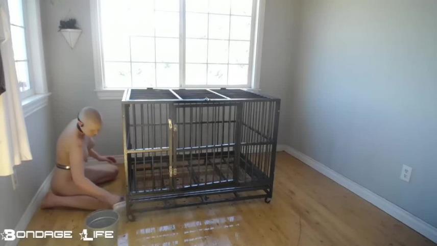 Bondage Life – Preparing The Cage Rachel Greyhound [updated: 2024-04-10]