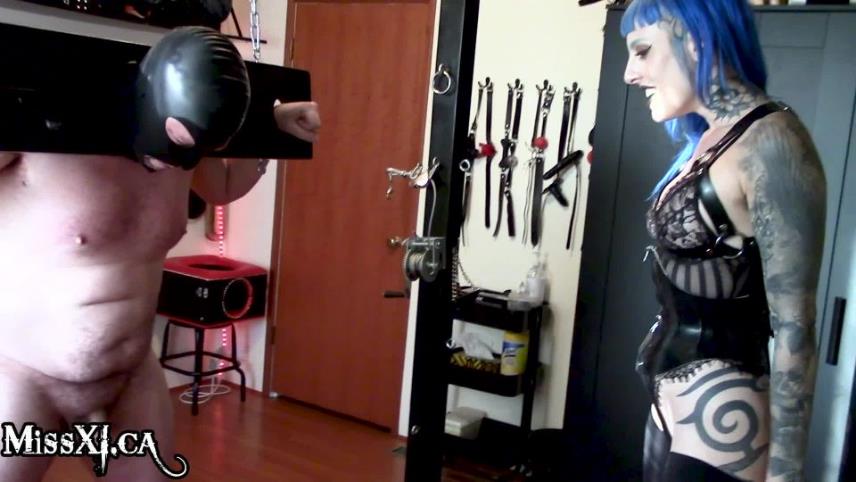 MISS XI - Ballbusting Bliss [updated: 2024-04-22]