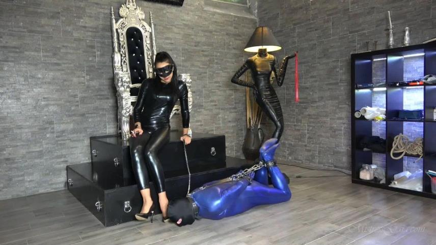 Mistress Gaia - Hogtied Shoe Licker (1080 HD) [updated: 2024-04-22]