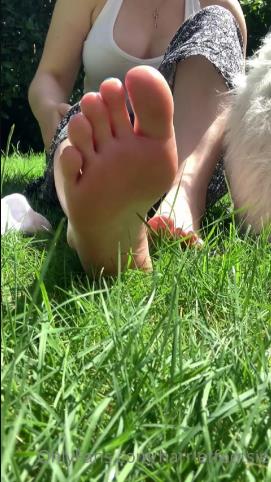 harrietfootsie 170720212165724497 i want you to give me twice as much attention as i give to my dogs [updated: 2024-06-13]