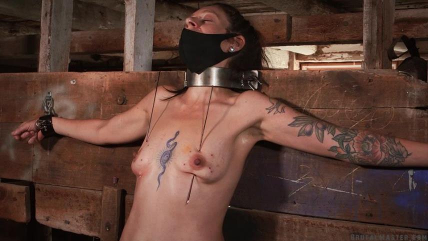 BrutalMaster – Dog Skewered and Milked [updated: 2024-09-06]