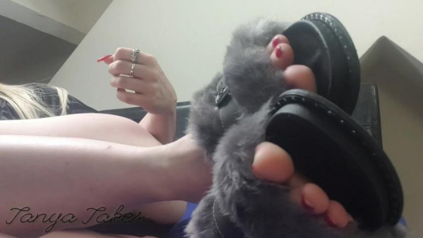 Furry Foot Fuckery [updated: 2024-09-17]