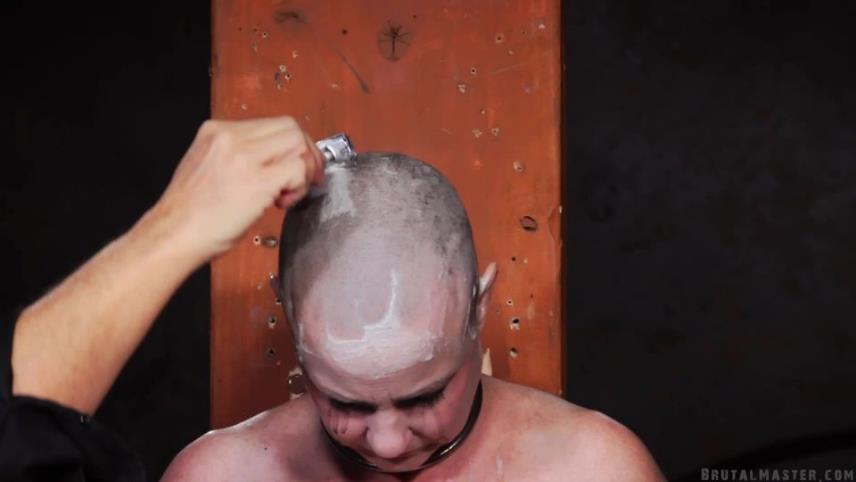 Filth Shaved Bald Bitch Torture [updated: 2024-09-19]