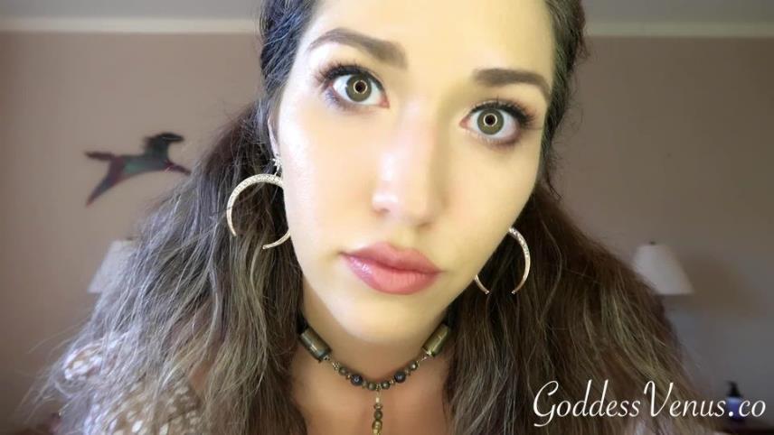 Goddess Venus – My Mindless Obedient Wallet [updated: 2024-09-21]