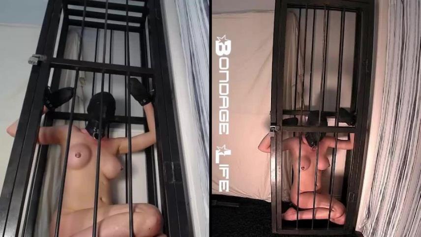 Bondage Life – Standing Cage [updated: 2024-09-24]