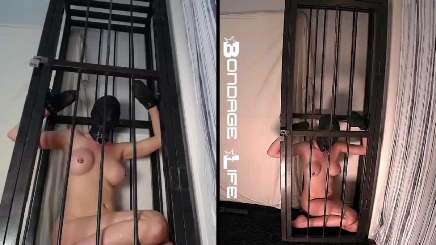 Bondage Life – Standing Cage [updated: 2024-09-29]