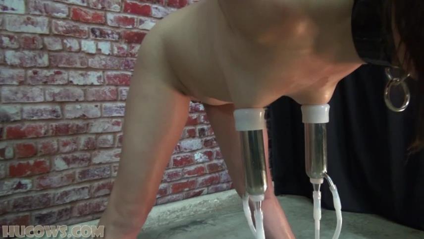 Hucows – Indica Jane – captured and milked [updated: 2024-09-30]