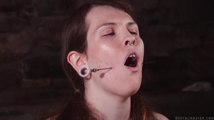 BrutalMaster – Blossom Skewered Face Cunt [updated: 2024-10-15]