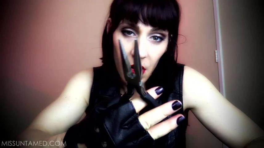 Mistress Untamed - The Collector [updated: 2024-10-19]