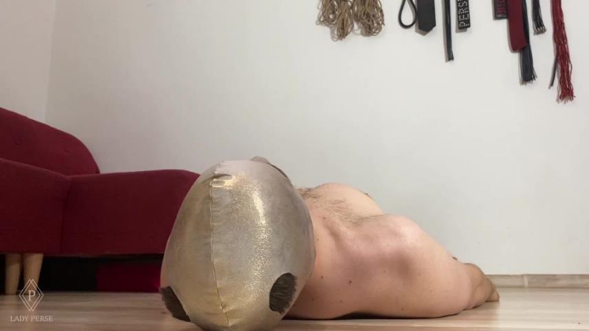 Lady Perse - Hot facesitting in latex body on this pathetic slave [updated: 2024-10-29]