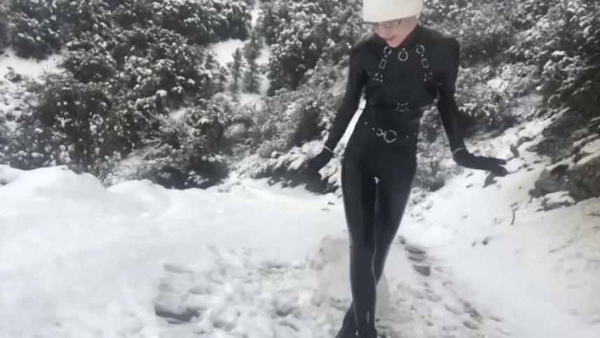 Snow Day (Latex Edition) [updated: 2024-10-29]