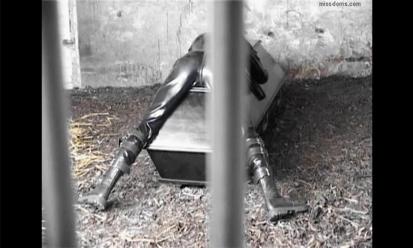 Evsfetishfemdom - Mistress Cynthia - The insufficient slave [updated: 2024-12-13]