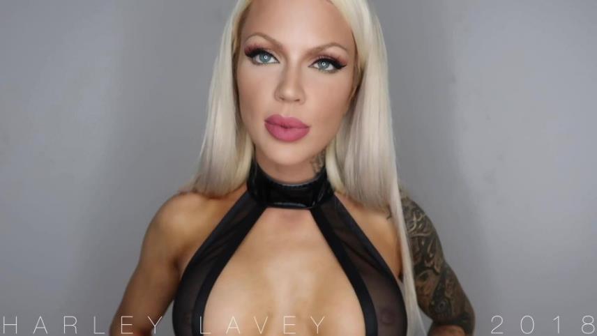 Harley LaVey - Beta Tax Ripoff [updated: 2024-12-19]